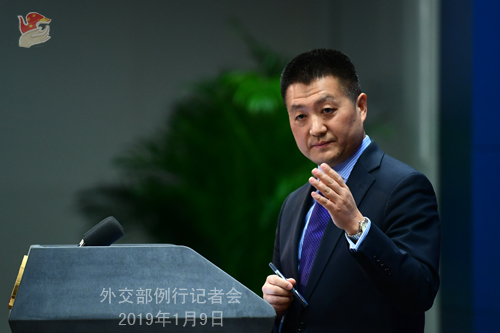外交部谈“中国—中东欧国家地方合作年”成果